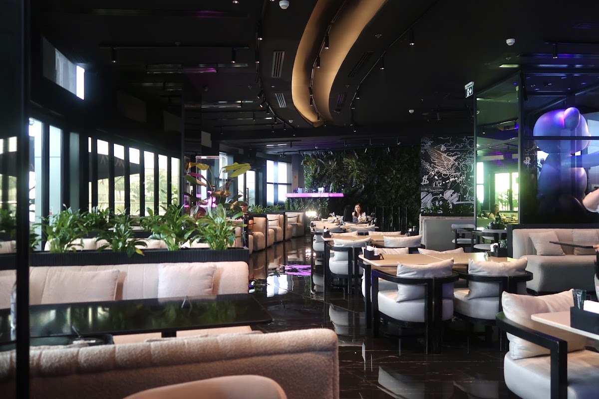 Amaya Dubai Mall - Best Shisha Lounge & Restaurant