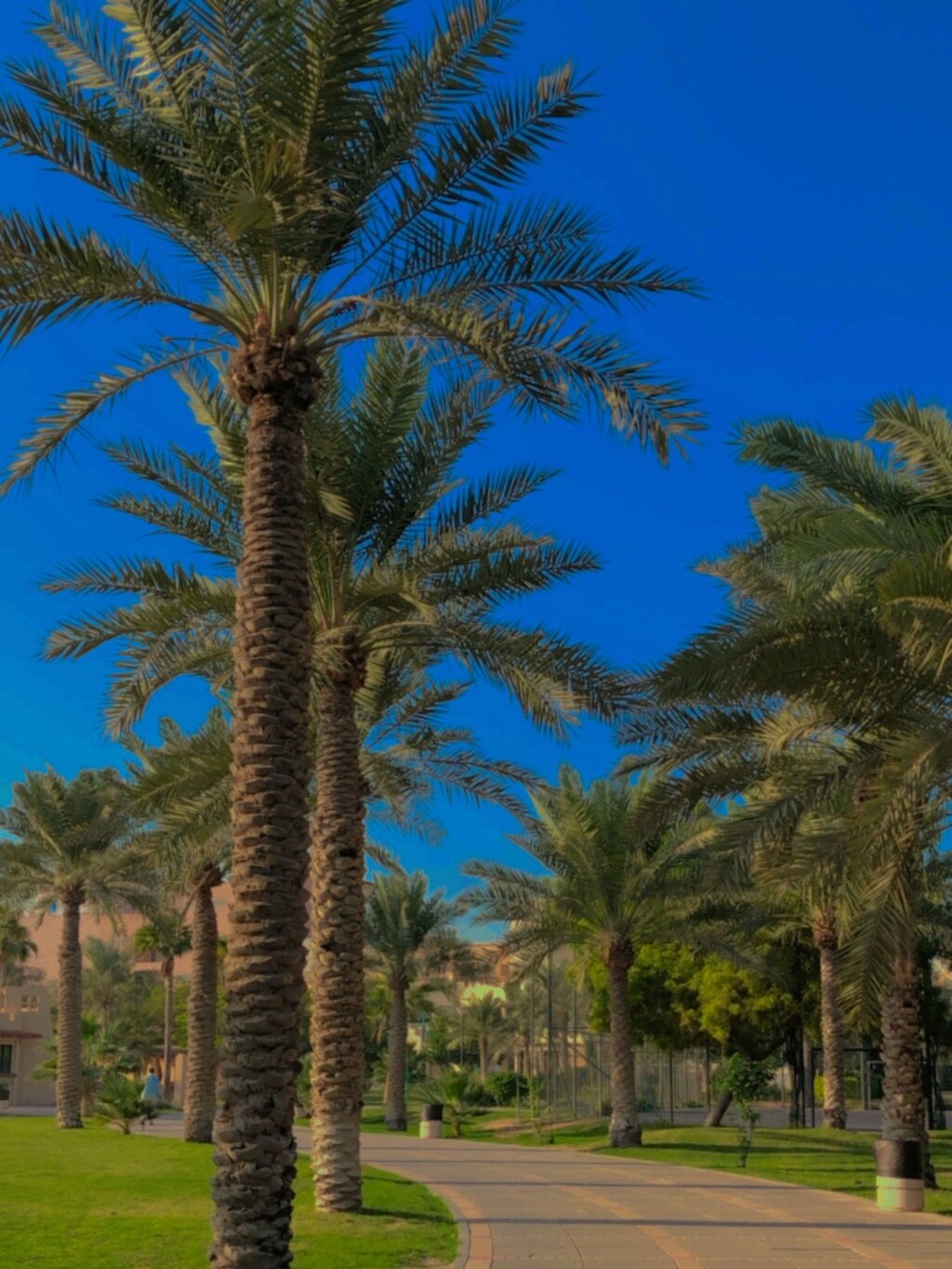 Andalus Plaza Hotel