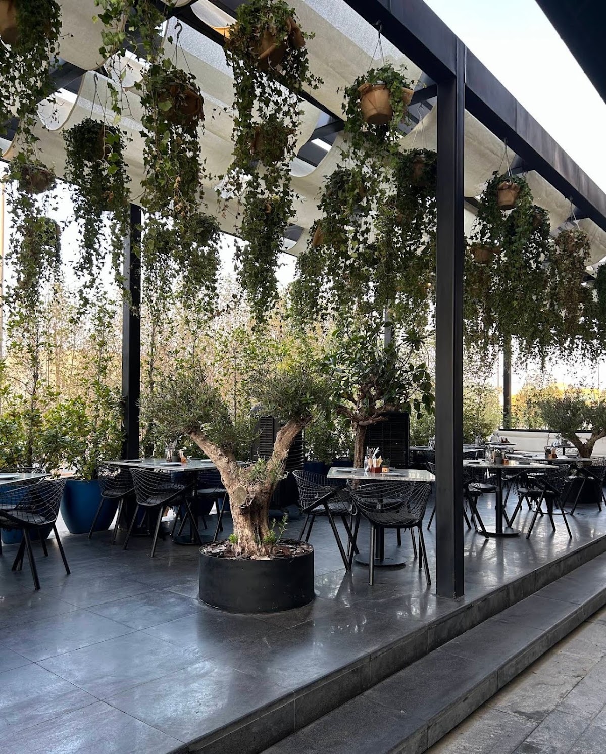 Lazy Cat Jeddah pop-up