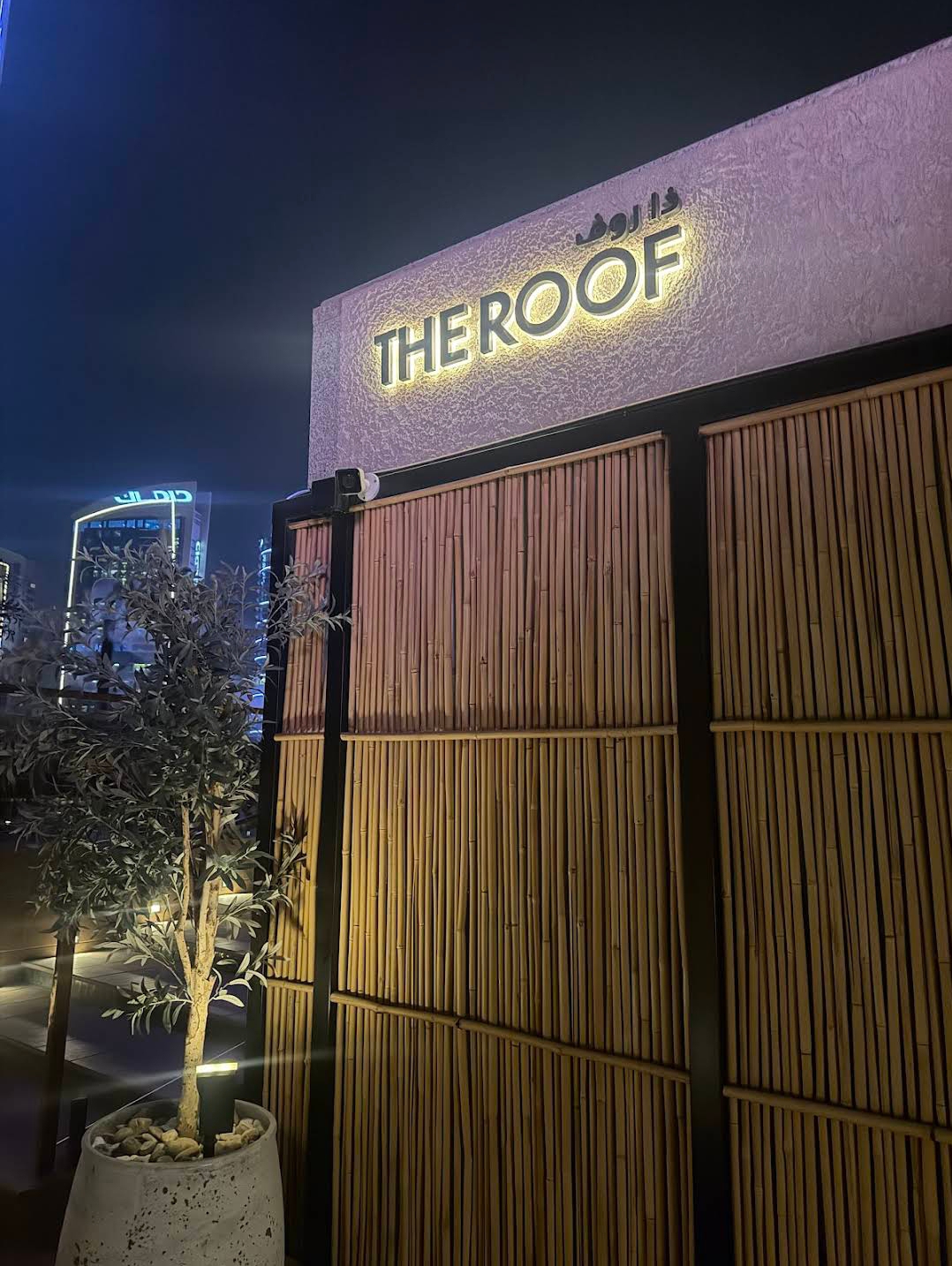THE ROOF